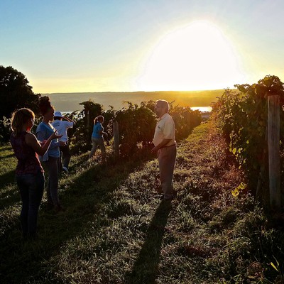 Treleaven Wines Blog A Walk Through The Vines - dabber clan roblox